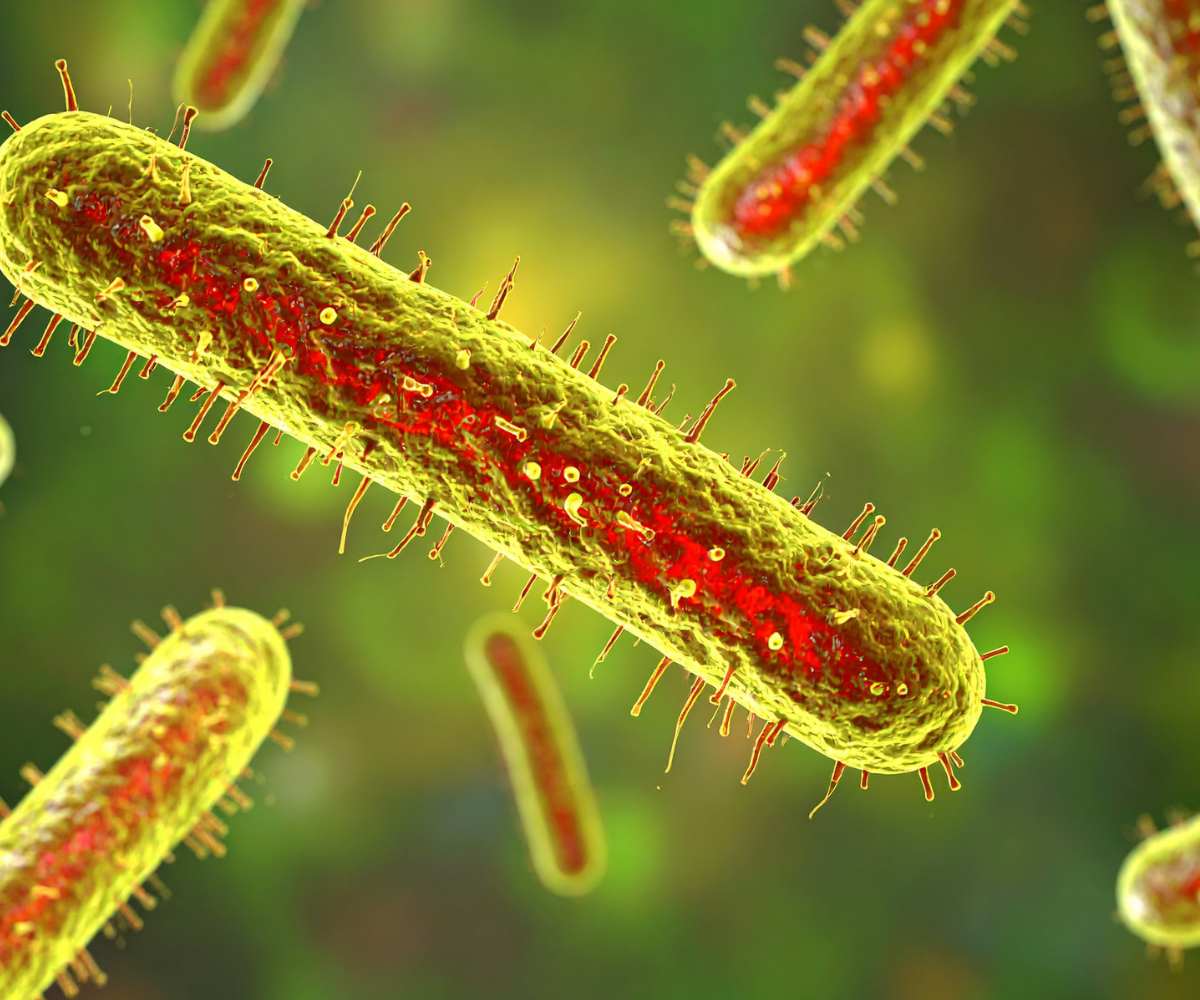 ¿Cómo se realiza el control de legionela?